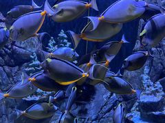 -成都浩海立方海洋公园