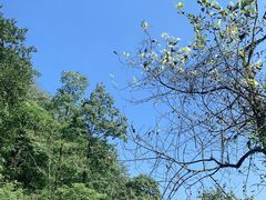 -华冠悠岚·庭院餐厅(青城后山店)