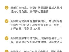 -圣淘沙天际线斜坡滑车
