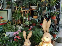 -FEI FEI FLOWER鲜花店·气球派对·宝宝宴布置(虹口德必运动Loft店)