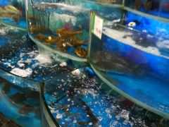 -AEON永旺(东方宝泰店)