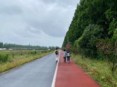 -上海长兴岛郊野公园