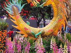 -越秀西湖花市(广州城市广场花卉店)