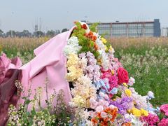 -杭州湾海上花田景区