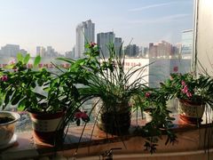 -东方亮足道(中国红街店)