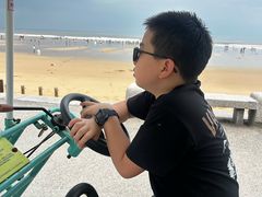 -日照海滨国家森林公园