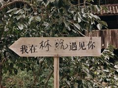 -林坑古村落