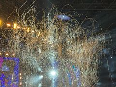 -杭州奥体中心-体育场