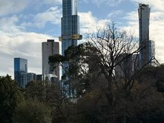 -墨尔本皇家植物园
