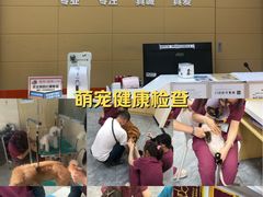 -美联众合爱康动物医院•复杂内科•肿瘤科•牙科•腔镜诊疗中心