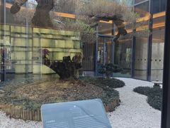 -东方美谷JW万豪酒店·The lounge大堂吧