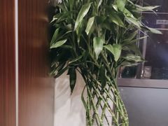 -千滋百味·醉江澜花园餐厅(街道口店)