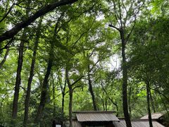 -兰亭风景区