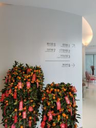 -纯粹医美
