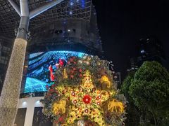 -爱雍·乌节