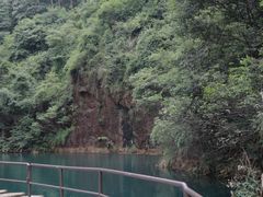 -大奇山国家森林公园
