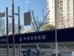 -申普宠物医院·眼科·心内科·影像科(普陀分院)