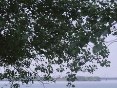 -漕湖湿地公园