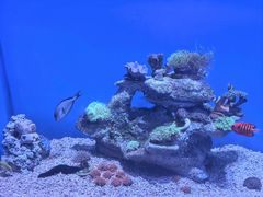 -广州海洋馆