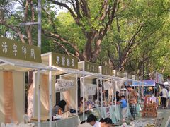 -昆山城市生态森林公园