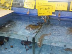 -顺丰轩园林酒家(天河店)