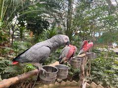 -南宫五洲植物乐园