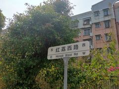 -深圳国际园林花卉博览园