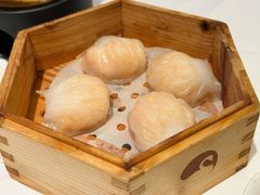 羊城鲜虾饺-白天鹅宾馆-玉堂春暖餐厅