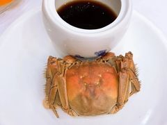 大闸蟹-大柴·宴宾楼(芥园西道店)