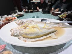 姜丝蒸黄脚利鱼-花城苑广府菜(侨鑫店)