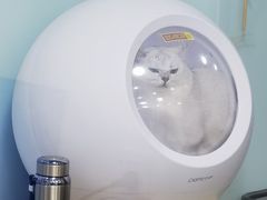 -中农大我爱我爱动物医院·核磁CT·猫病·24小时夜诊中心(石佛营店)