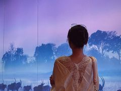 -罗红摄影艺术馆