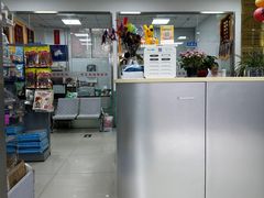 -利又安动物医院··老年病·猫科犬科·中兽医
