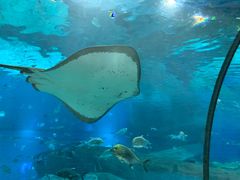 -福州罗源湾海洋世界旅游区