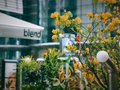 -blend咖啡部落(卓悦中心店)