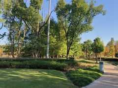 -昆山城市生态森林公园