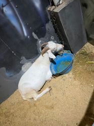 -酷嗒动物文化乐园(cutezoo西溪乐天城店)