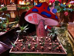 -老滇山寨•云南特色菜•地方菜•民族风情歌舞表演(金碧店)