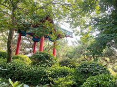 -八大关景区