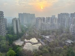 -成都保利公园皇冠假日酒店(熊猫基地店)