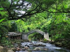 -广州市石门国家森林公园