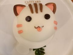 -猫小院猫主题餐厅(三里屯店)