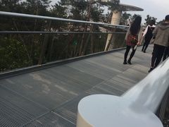 -仙岳公园