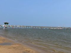 -碧海金沙