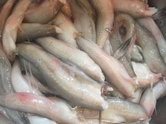 -农家私房菜(龙凤路店)