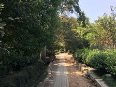 -雨花胜境