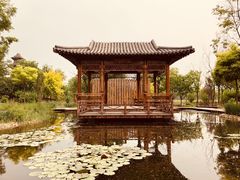 -武清南湖绿博园