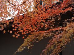 -三千院
