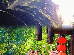 -梭布垭石林景区