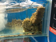 -海味当家·蒸锅海鲜(星海公园店)
